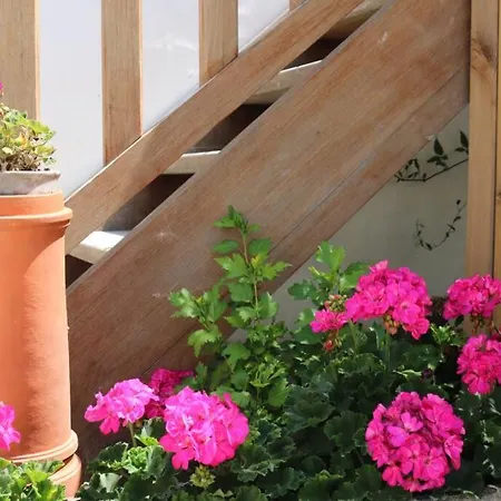 La Virginie - Paree'o