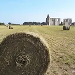 La Virginie - Paree'o La Couarde-sur-Mer