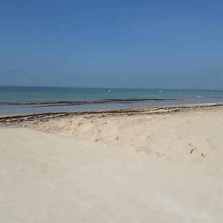 La Virginie - Paree'o La Couarde-sur-Mer