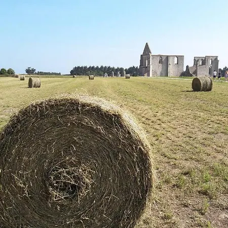 La Virginie - Paree'o La Couarde-sur-Mer