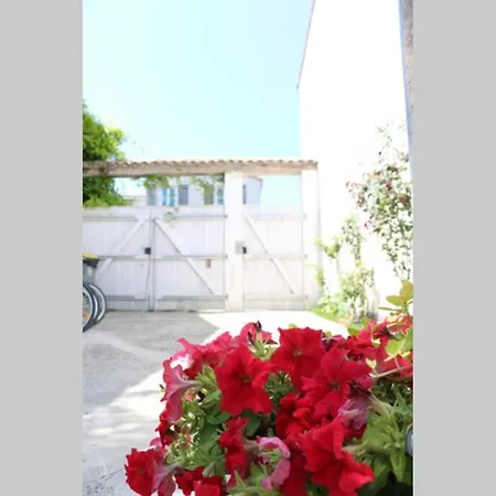 La Virginie - Paree'o La Couarde-sur-Mer