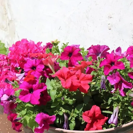 La Virginie - Paree'o Apartment