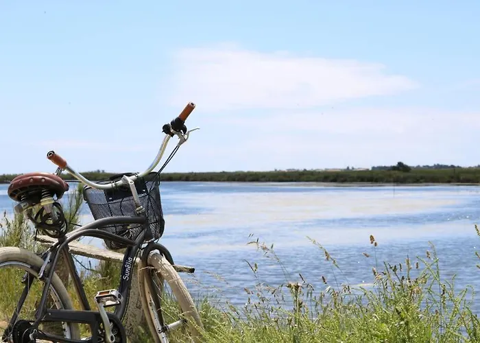 La Virginie - Parée'ô Apartamento *