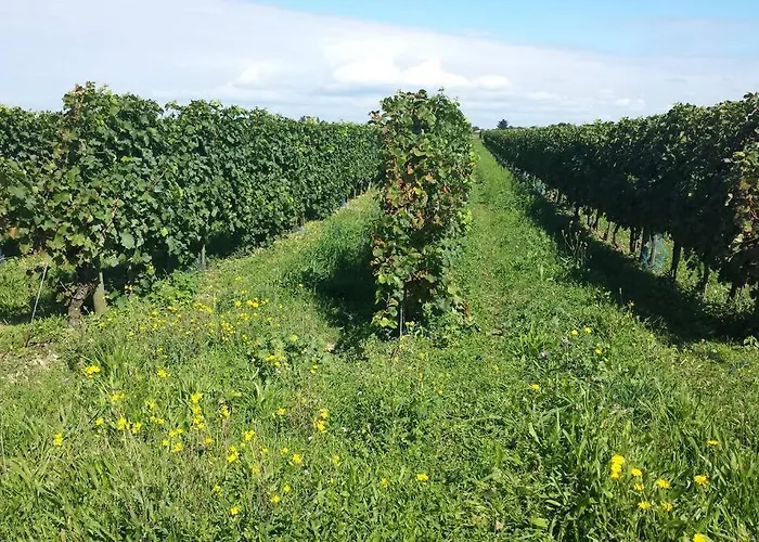 Apartamento La Virginie - Parée'ô *