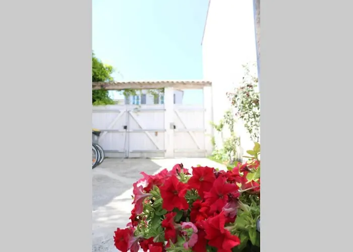 La Virginie - Parée'ô La Couarde-sur-Mer